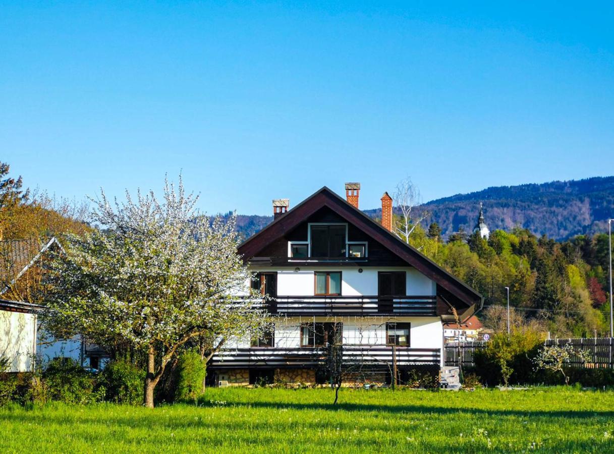 Deerwood Villa-Modern Cozy Apartment With Castle View Bled Extérieur photo
