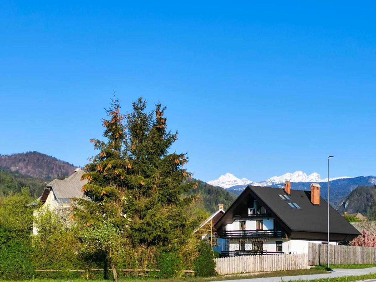 Deerwood Villa-Modern Cozy Apartment With Castle View Bled Extérieur photo